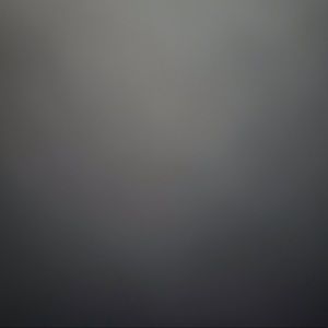 Meet your Posher, Chandler